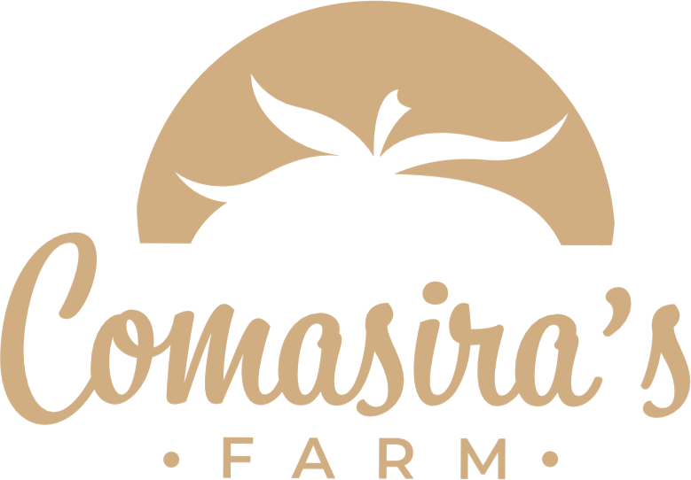 Comasira's salse